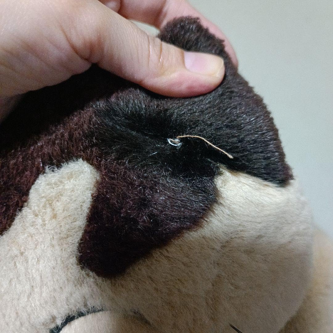 Amazon.co.jp: 猫のヤーコプ セキグチ sekiguchi ぬいぐるみ